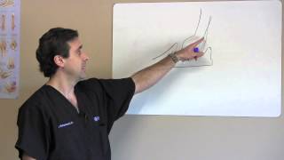 How to Treat Cubital Tunnel Syndrome: J. Michael Bennett, MD, PA:  Orthopaedic Surgeon