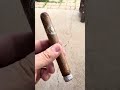 Ortega Cubao 50 x 6 Toro delightful budget stick !