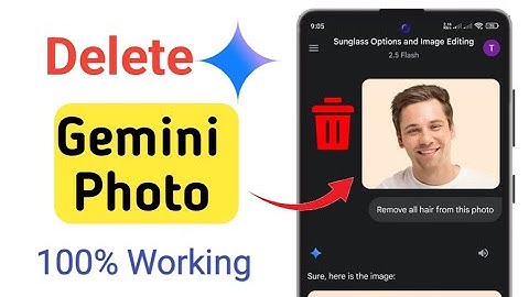 How To Delete Gemini Photo | Delete Photos From Gemini | Gemini Delete Photo History