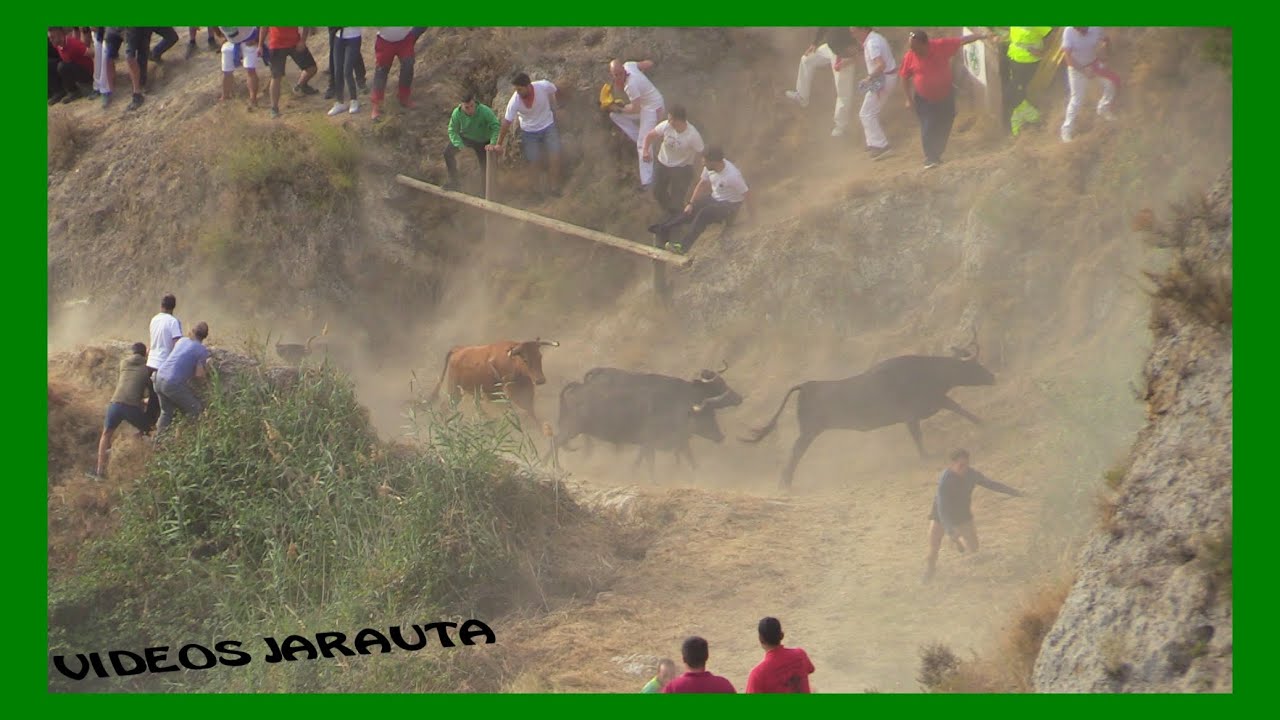 FALCES ( NAVARRA ) 8º ENCIERRILLO Y ENCIERRO DEL PILON ( DOMINGO 21 AGOSTO 2022 ) TEODORO VERGARA