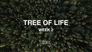 Anthem Hayden // Tree of Life Week 2// January 15