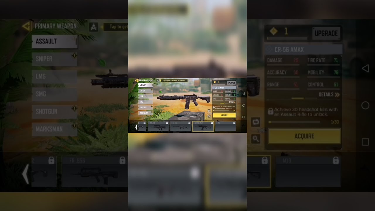 M13 AR And R90 Shotgun in Codm