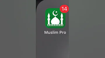 Download Muslim Pro To Know What Time To Pray 
