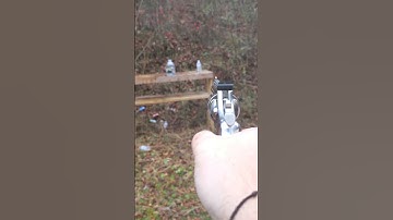 Colt Python 357 Magnum vs Water