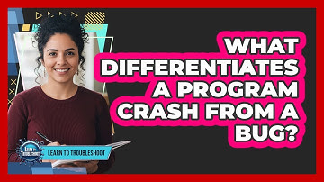 What Differentiates a Program Crash from a Bug?