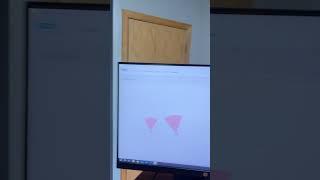 SafeRS3 Muting Setup with 2 Different Detection Groups for Multiple Sensors