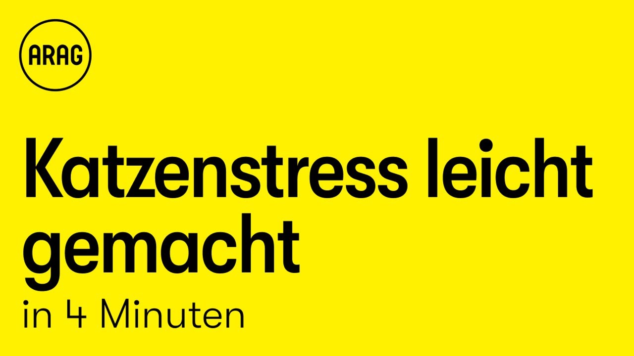 Katzenstress leicht gemacht: Wie ihr Stress erkennt und vermeidet