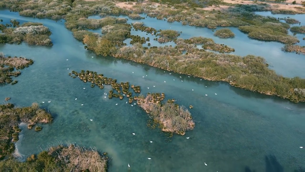 Mantova - Parco del Mincio