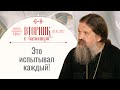 СЕГОДНЯ Вторник с Батюшкой. Беседа о. Андрея 05.04.2022