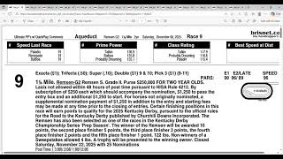 2025 Remsen Stakes Full Field Analysis and Picks | Aqueduct
