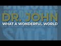Dr john feat the blind boys of alabama what a wonderful world official audio mp3