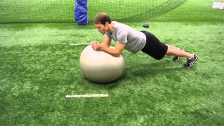 Stability Ball Plank circles