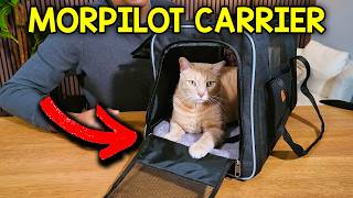 What To Expect With The Morpilot Cat Carrier (Is It WORTH IT? )
