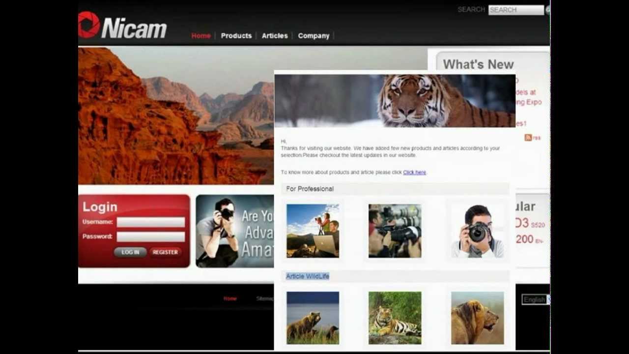 Eloqua Sitecore Web CMS Connector