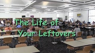 The Life of Your Leftovers