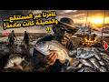 لم يكن الطريق سهلا عبرنا المستنقع ثم اصطدنا كمية هائلة من الشرغو mp3