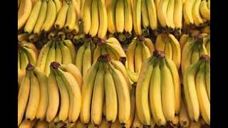 Banana Song Ringtone [With Free Download Link] screenshot 2