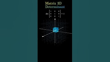 Matrix 3D Determinant - Visual meaning #maths #physics #shorts