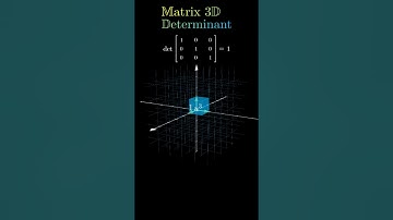 Matrix 3D Determinant - Visual meaning #maths #physics #shorts