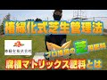 【椿緑化式芝生管理】プロが勧める最強肥料、土壌改良のその後、目土等。
