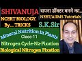 Nitrogen cyclebiological n2 fixation biology by sksirshivanuja tutorials symbiotic n2 fixa