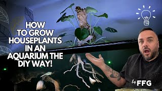 How to grow houseplants in the aquarium and keep the fish from eating the roots!