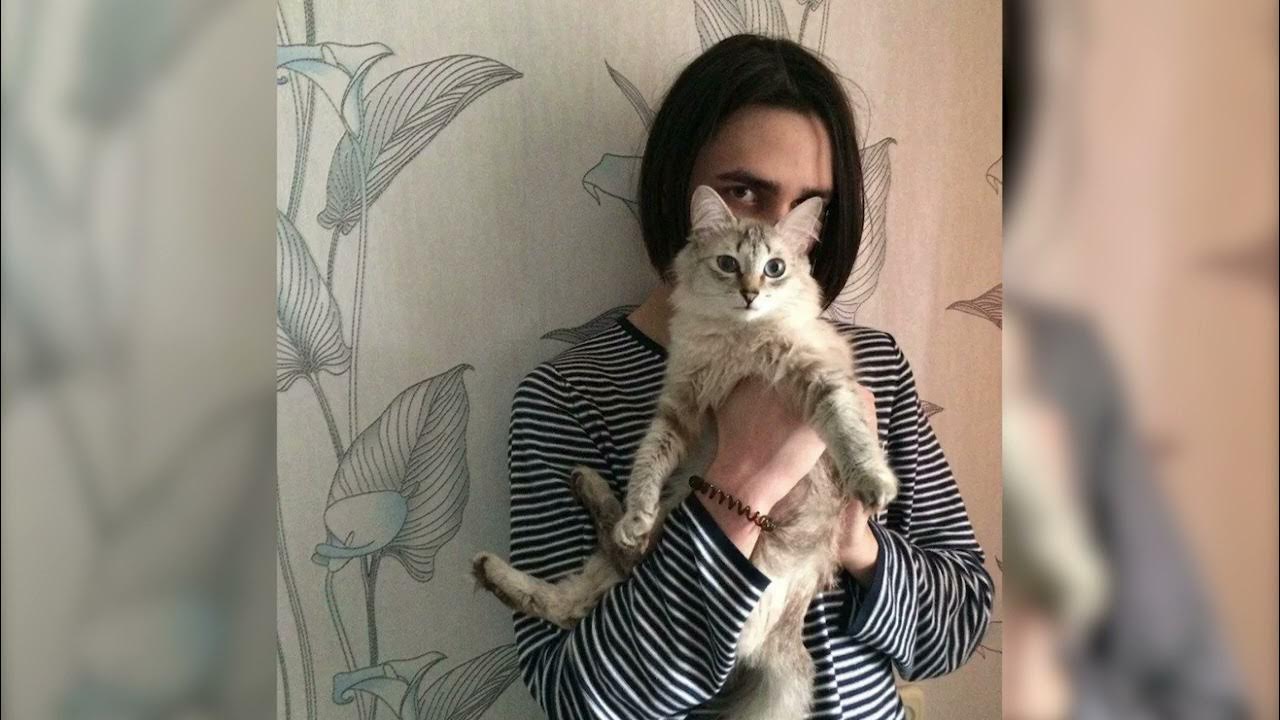 Риса чан монеточка. Супер киса 8 бит. Супер киса 8. Супер киса 8. Супер киса 8.