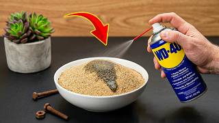 Mixing WD-40 and Sand? 😱 The Most Incredible Result Ever