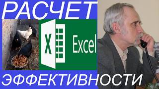 Содержание кур. Закупаем корма. Бизнес план. Проводим экономический расчет эффективности