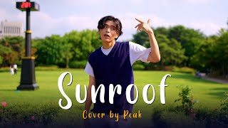 PEAK - Sunroof [Cover. Nicky Youre]