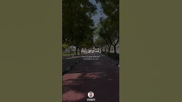 #محمد_سبيعان سورة_الزمر #قرآن #قران_كريم #mohammed_esbiaan #اكسبلور #انشر_تؤجر #اجر #الامارات
