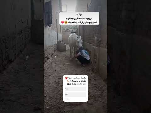 اسب حیوون نجیب حالم خوب شد یوتیوب فارسی انگیزشی اکسپلور   تتلو غمگین کلیپ