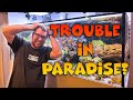 Dream reef tank  trouble in paradise