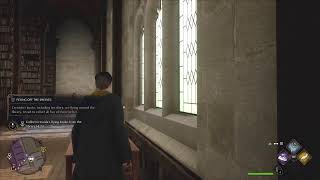 Ryelonx Hogwarts legacy hufflpuff
