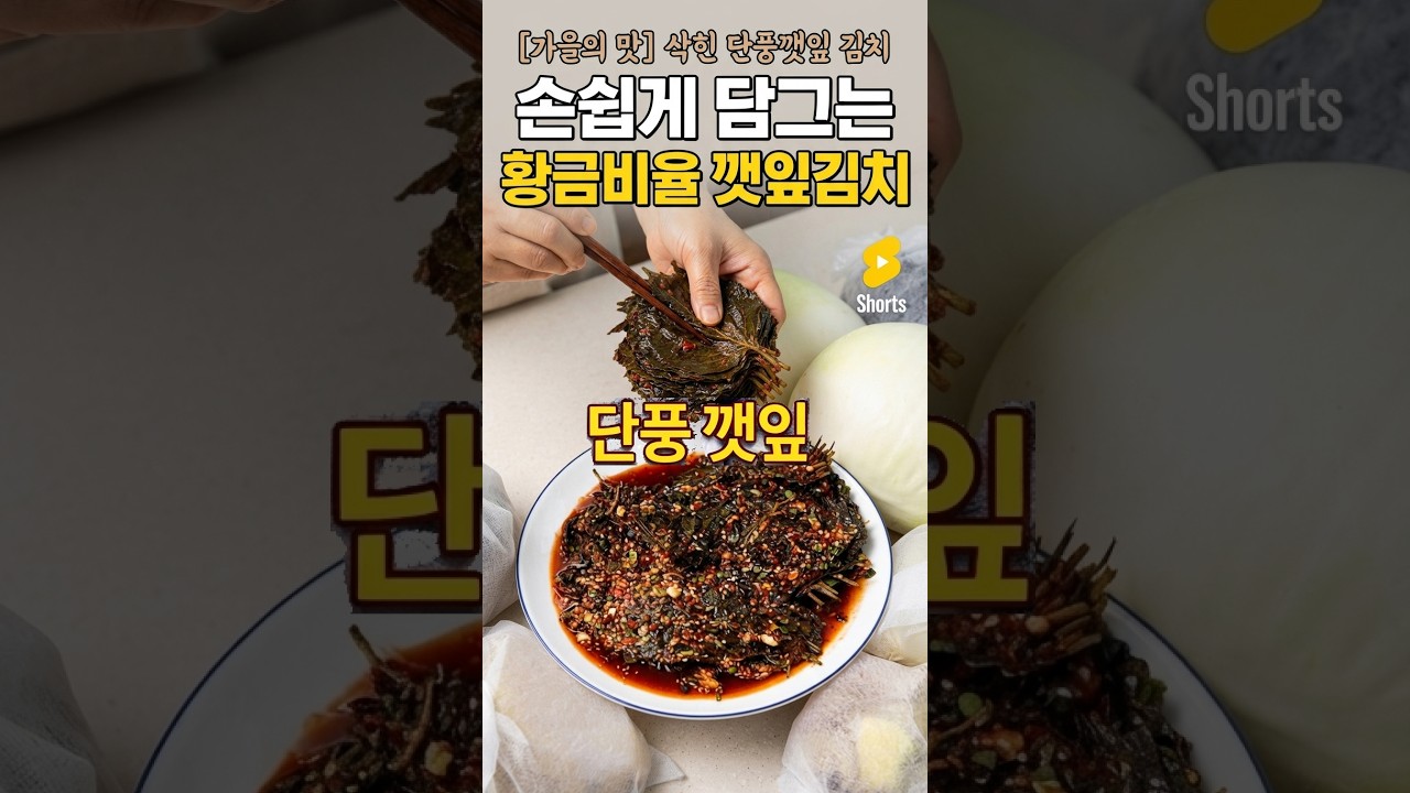 가을의 맛! 삭힌 단풍깻잎김치, 손쉽게 담그는 황금비율 깻잎김치 레시피 숏폼 썸네일