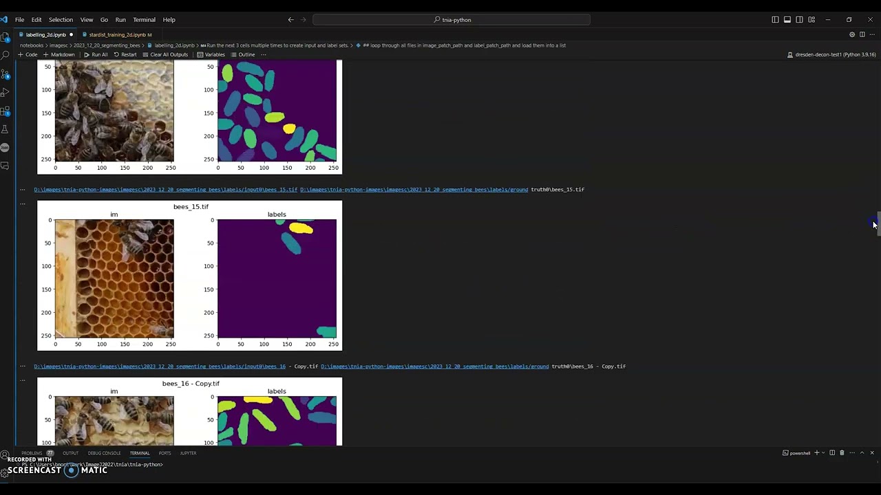 bee labelling for imagesc