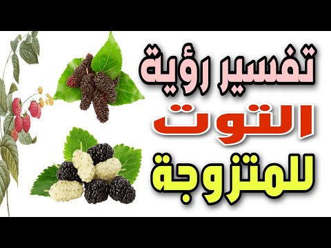 تفسير رؤية التوت للمتزوجة فى المنام لابن سيرين