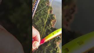 Megabass Zonk 120 Gataride hi-pitch