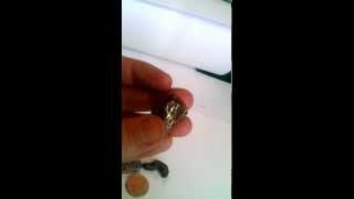 WP 20130903 019