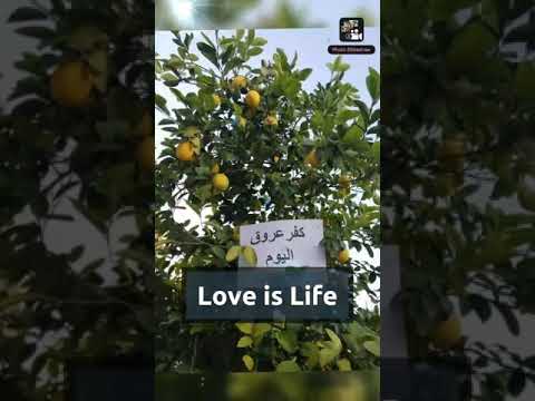 اغنية كاظم الساهر يادنيا انتي حرمتيني من اهلي 