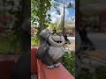 One of the BEST upgrades to Disney’s Hollywood Studios isn’t a new ride, show, or E-ticket