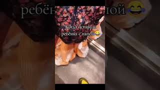 #афины #смешно  #юмор  #joke