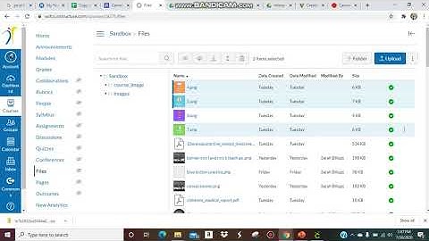 HOW TO DELETE FILES AND PICTURES IMPORTED TO CANVAS | CLEAN UP YOUR CANVAS FILES | DELETE IMAGES