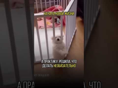Такого с тобой не случиться