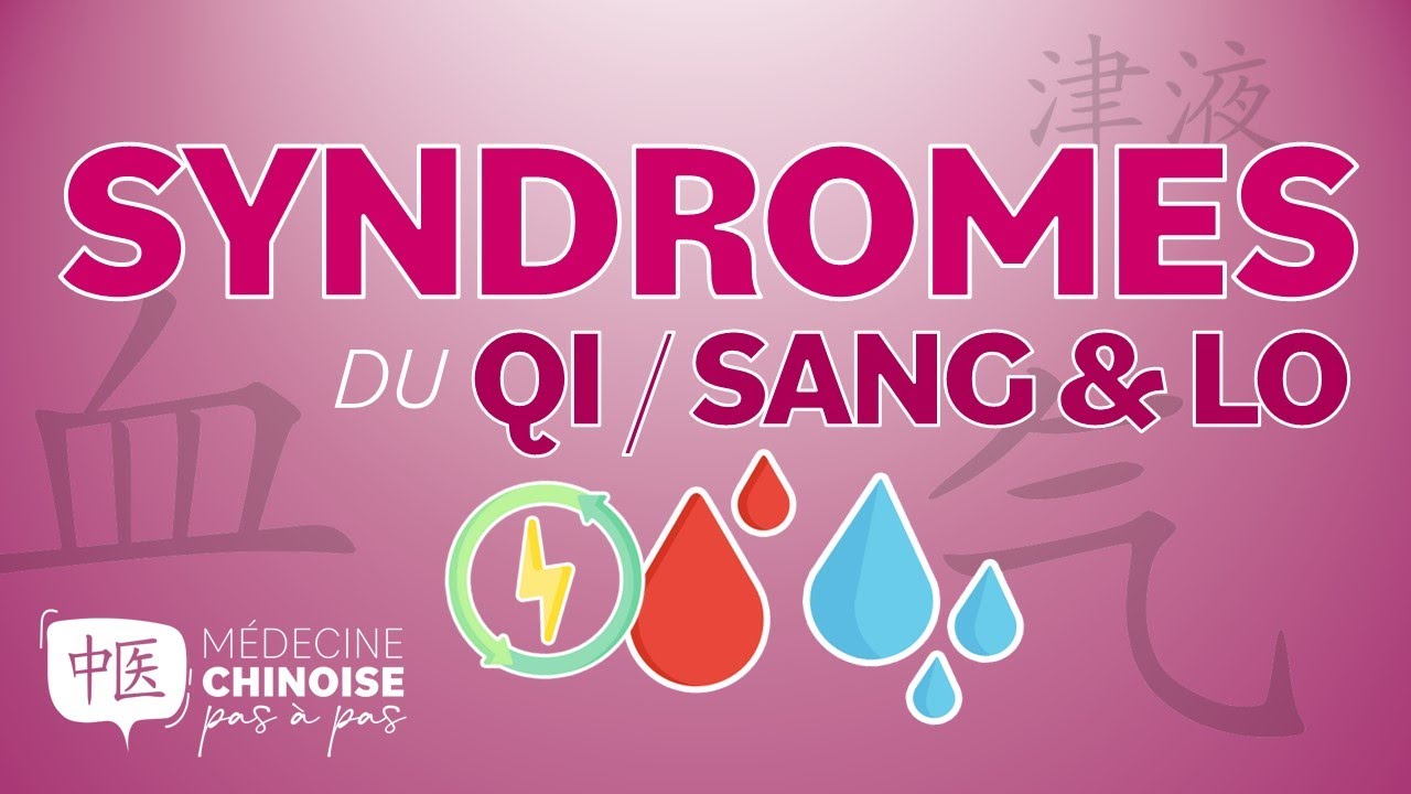 #35 - SYNDROMES du QI / du SANG et des LO en Médecine Chinoise