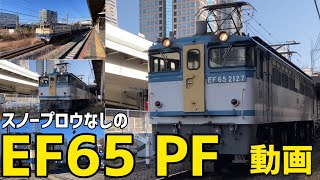 🟦EF65 PF 『スノープロウ未装着のPFたち』