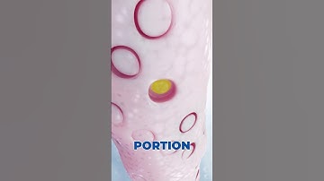 The Healing Power of Stem Cell Therapy in Mexico Explained by Dr. Anand Srivastava!