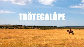 TRÖTEGALÔPE - Oro, plata y miel (Video Oficial)