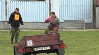 Tomáš Novák & Argo Nauru - competition in Jaroměř 2010 - bite work