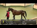 2026 八戸市場 サラブレッド1歳